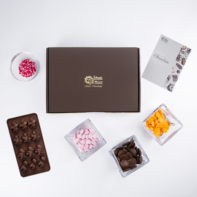 DIY Chocolate Kit (Dinosaur)