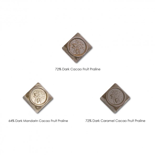 Cacao Fruit Praline (9pcs)