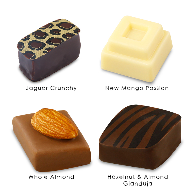 Blissful Assorted Praline Tray (48pcs)