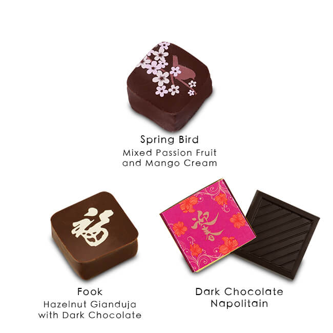 迎春接福朱古力小禮盒（5顆）