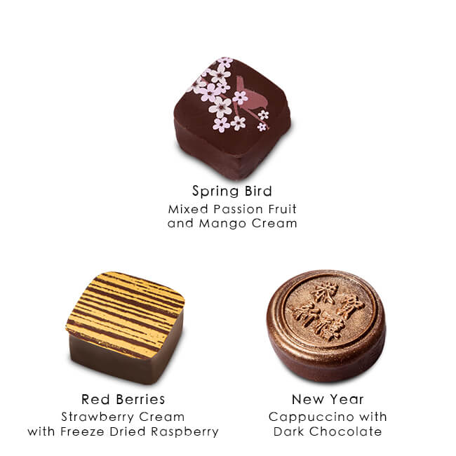 農曆新年雜錦朱古力禮盒（9顆）