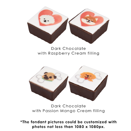 Schoggi Doggie Gift Box (9pcs)